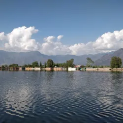 Nigeen Lake - Srinagar