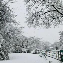 Shankaracharya Hill - Srinagar