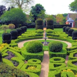 Dutch Garden - Surat