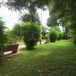 Dutch Garden - Surat