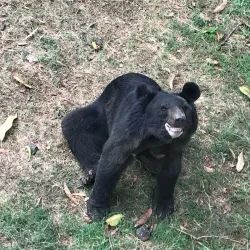 Sarthana Nature Park and Zoo - Surat