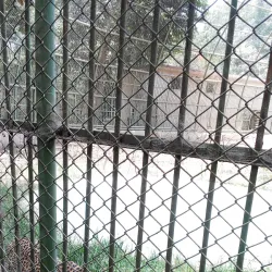 Sarthana Nature Park and Zoo - Surat