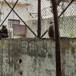 Tapi Riverfront - Surat