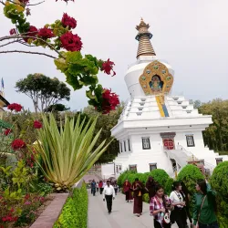 Buddha Garden - Tehri Garhwal