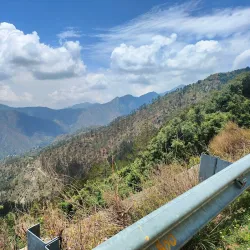 Kanatal - Tehri Garhwal