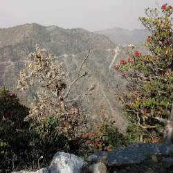 Kanatal - Tehri Garhwal