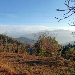Kanatal - Tehri Garhwal