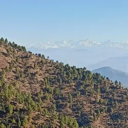 Kanatal - Tehri Garhwal