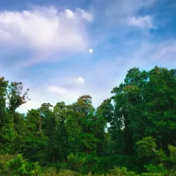 Bhomoraguri - Tezpur