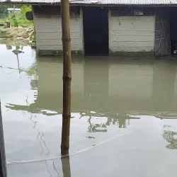 Bhomoraguri - Tezpur