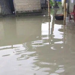 Bhomoraguri - Tezpur