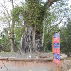 Da Parbatia - Tezpur