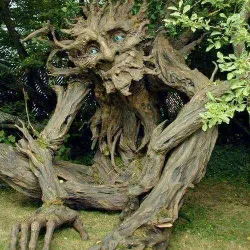 Da Parbatia - Tezpur