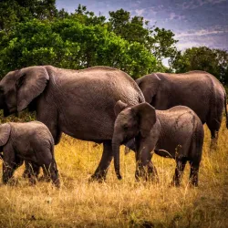 Nameri National Park - Tezpur