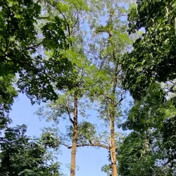 Nameri National Park - Tezpur