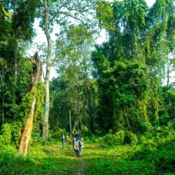 Nameri National Park - Tezpur