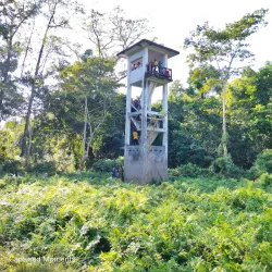 Nameri National Park - Tezpur