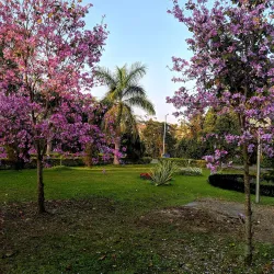 Tezpur University - Tezpur