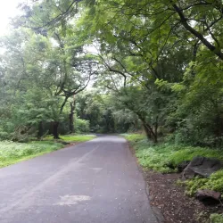 Shilonda Trail - Thane