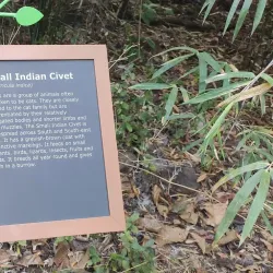 Shilonda Trail - Thane