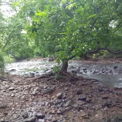 Shilonda Trail - Thane