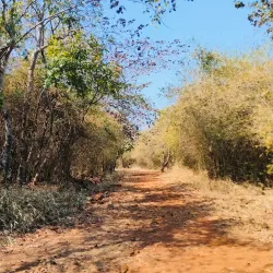 Shilonda Trail - Thane