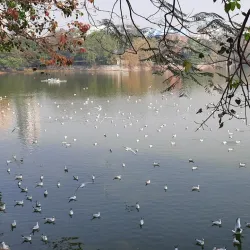 Talao Pali Lake - Thane