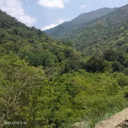 Chinna Suruli Temple - Theni
