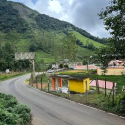Meghamalai (High Wavy Mountains) - Theni