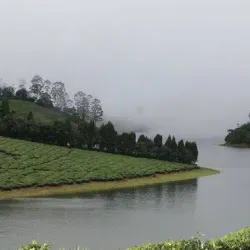 Meghamalai (High Wavy Mountains) - Theni