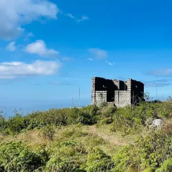 Meghamalai (High Wavy Mountains) - Theni