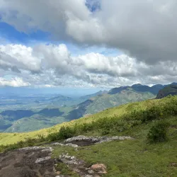Meghamalai (High Wavy Mountains) - Theni