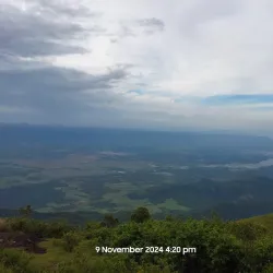 Meghamalai (High Wavy Mountains) - Theni