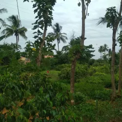 Periyakulam - Theni