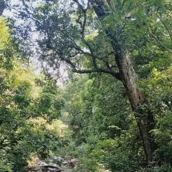 Suruli Falls - Theni