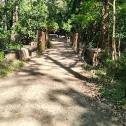 Suruli Falls - Theni