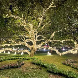 Kanakakkunnu Palace - Thiruvananthapuram