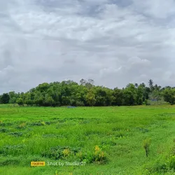 Vellayani Lake - Thiruvananthapuram