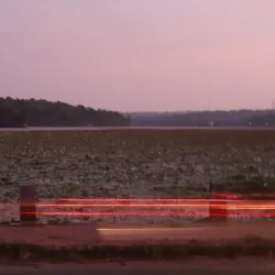 Vellayani Lake - Thiruvananthapuram