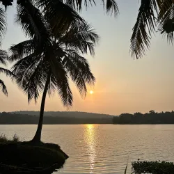 Vellayani Lake - Thiruvananthapuram