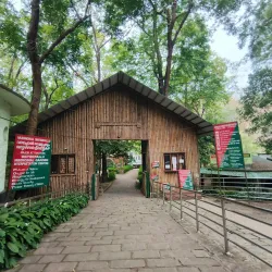 Athirappilly Waterfalls - Thrissur