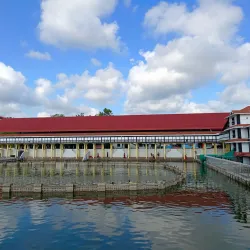 Guruvayur Temple - Thrissur