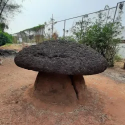 Kerala State Archaeology Museum - Thrissur