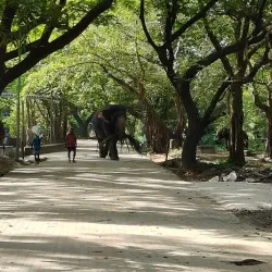 Punnathur Kotta Elephant Sanctuary - Thrissur