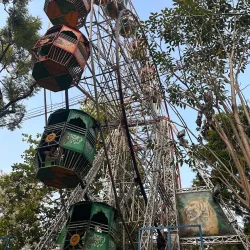 Thrissur Pooram Festival - Thrissur