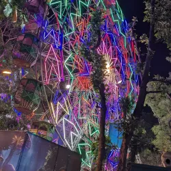 Thrissur Pooram Festival - Thrissur