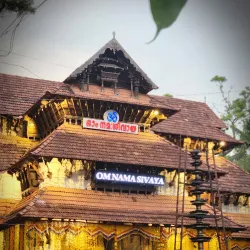 Thrissur Pooram Festival - Thrissur