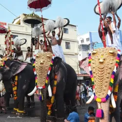 Thrissur Pooram Festival - Thrissur