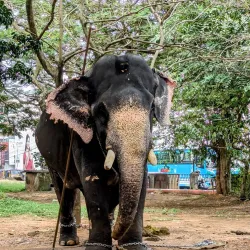Vadakkunnathan Temple - Thrissur