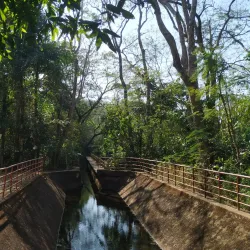 Vazhani Dam and Garden - Thrissur